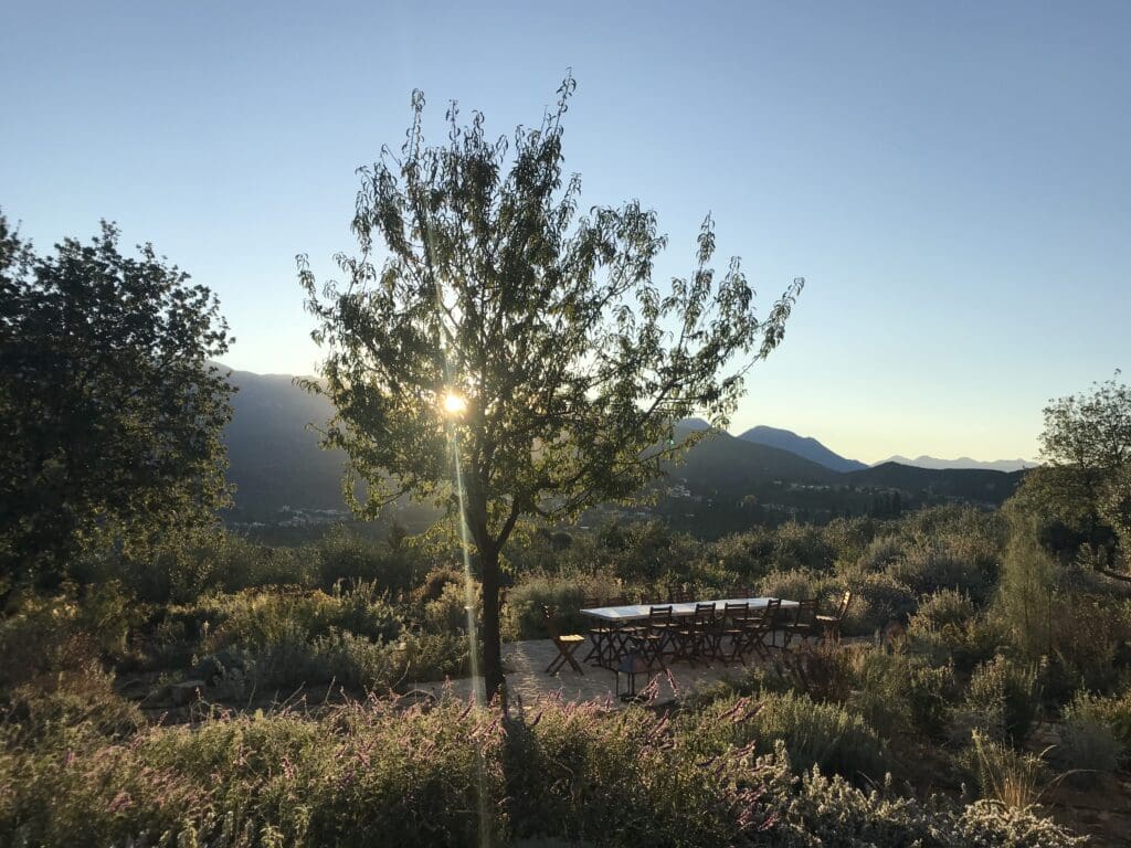 A picnic lunch table in an olive grove at sunset. A Slow Cyclist holiday.
