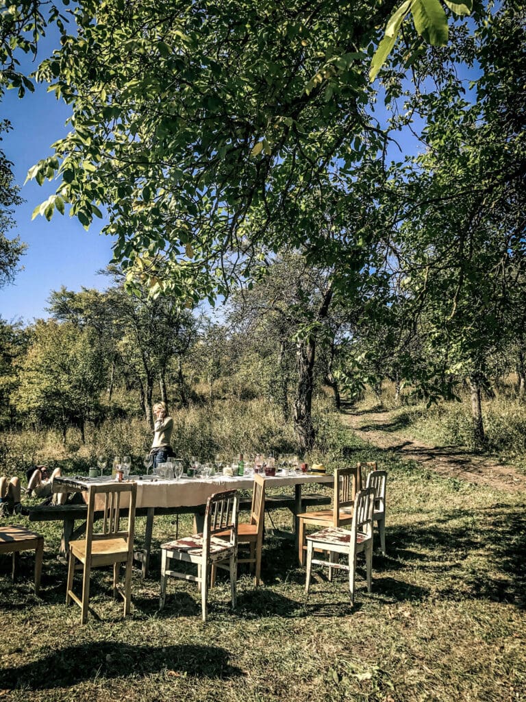 A picnic lunch laid up in a meadow in rural Transylvania for Slow Cyclists