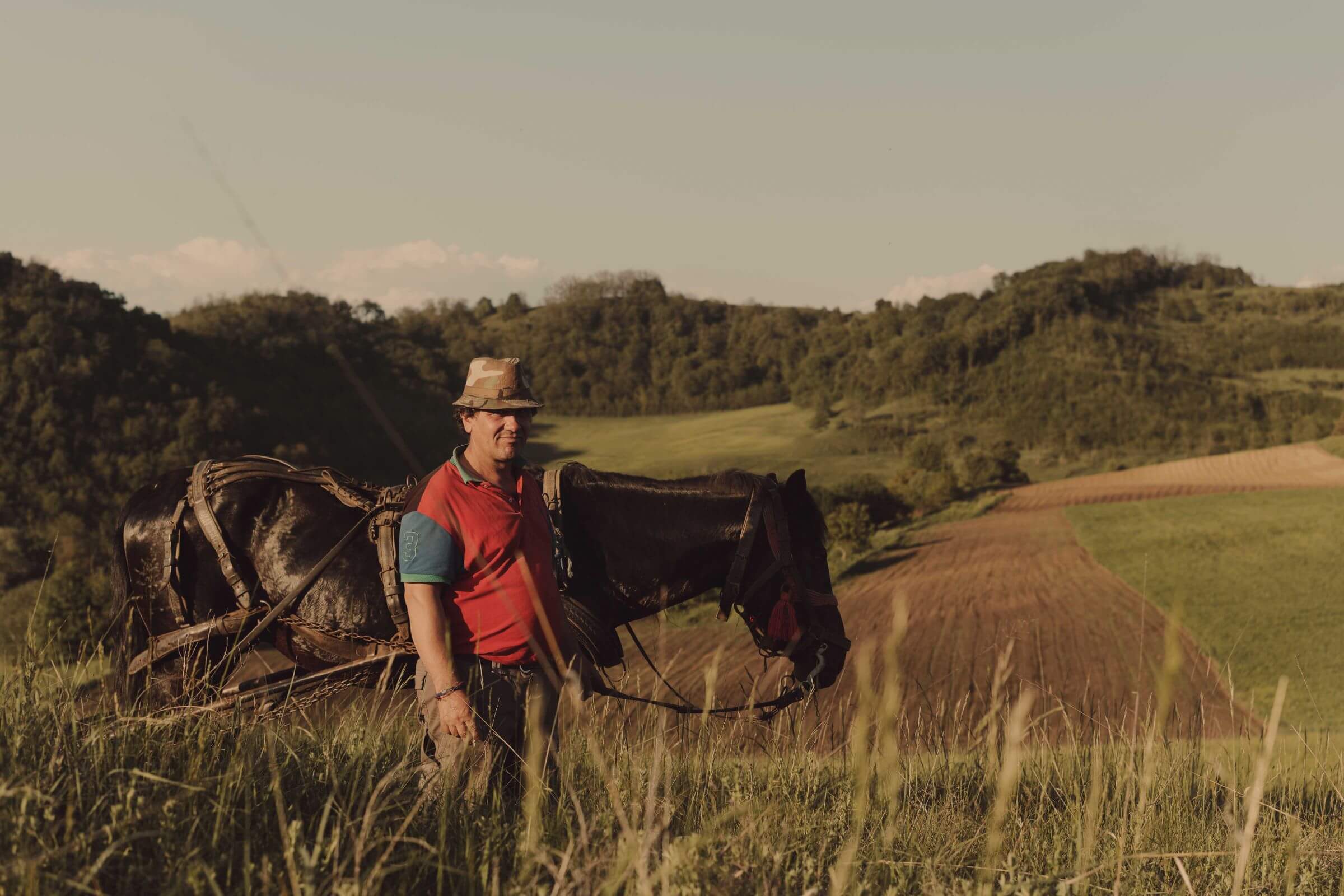Paolo, an owner of Copsa Mare Guesthouses where Slow Cyclists stay in Transylvania, in the field with his horse and cart