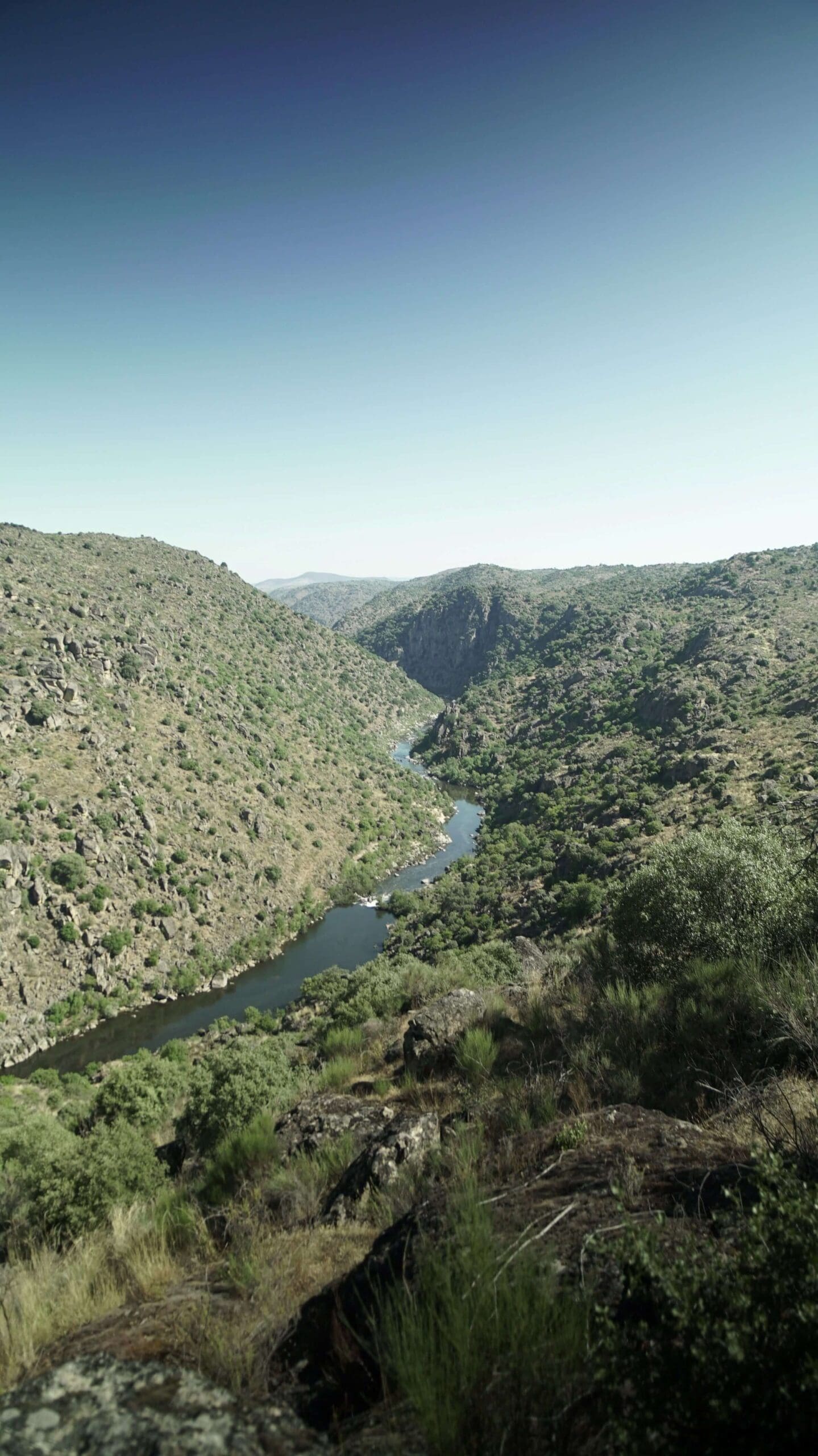 Overlooking the Coa river running through a valley in Portugal, visited on a Slow Cyclist journey